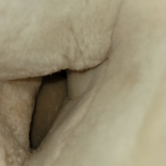 Men's UGG Boots - Picture 6 of 6